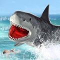 鯊魚的瘋狂吞噬
