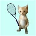 猫猫网球冠军游戏