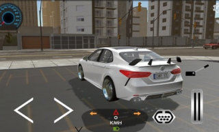 汽车模拟自由驾驶官方版(3)