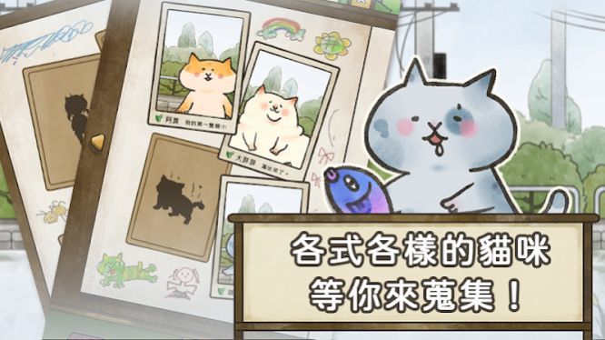 猫箱物语手机版(4)